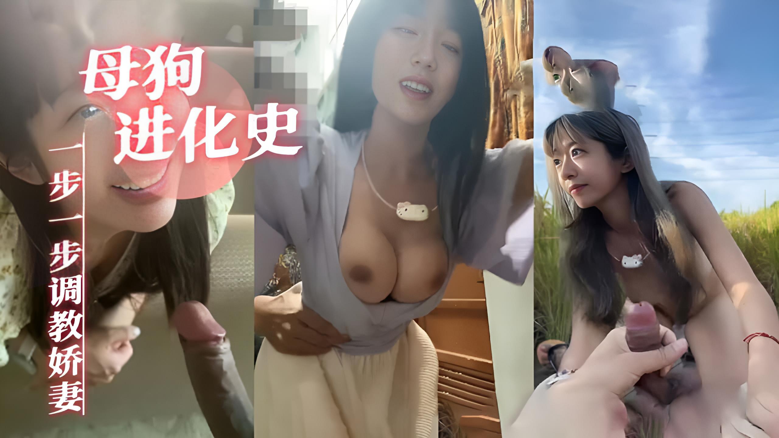 成人视频 母狗进化史!一步一步调教娇妻